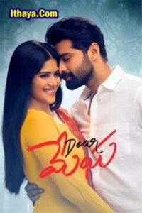 Dear Megha (2021) HD Telugu Full Movie Watch Online Free