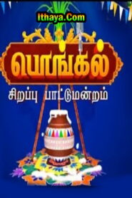 Pongal Sirappu PattiMandram | 14th Pongal Special Show 2022 | RajTv