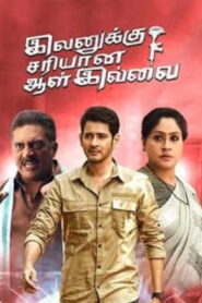 Evanukku Sariyana Aalu Illai (2022 HD) Tamil Dubbed Full Movie Watch Online Free