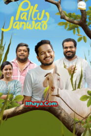 Palthu Janwar (2022 HD) Malayalam Full Movie Watch Online Free
