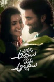 Akkada Ammayi Ikkada Abbayi (2025 HD) Telugu Full Movie Watch Online Free