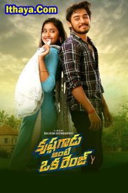 Krishna Gadu Ante Oka Range (2025 HD) Tamil Full Movie Watch Online Free