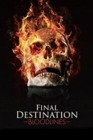 Final Destination Bloodlines (2025) English HQ CAMRip (HQ Line Audio) Watch Online