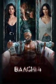 Baaghi 4 (2025) DVDScr Hindi Full Movie Watch Online Free