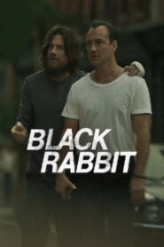 Watch Black Rabbit Episode 1: The Cyclone Tamil Dubbed S02