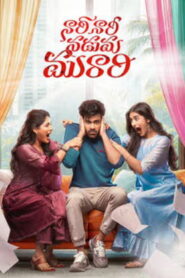 Nari Nari Naduma Murari (2026) HDRip Telugu Full Movie Watch Online Free
